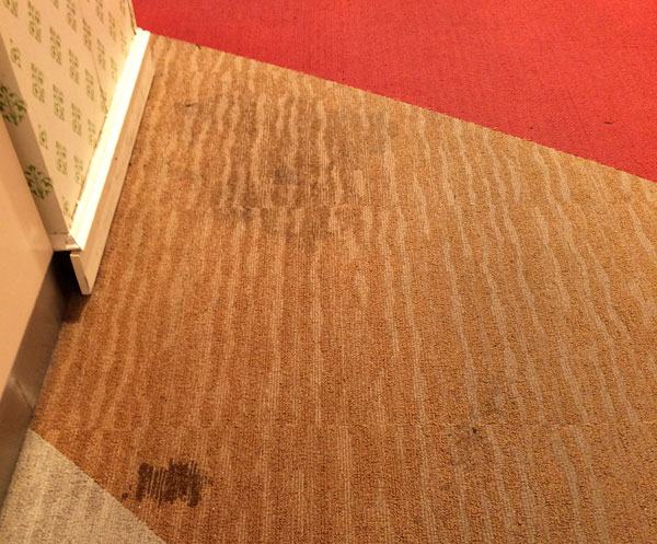 カーペット洗浄前